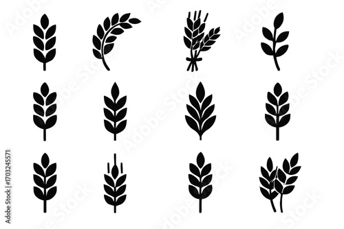 Stems cereal icon stem wheat farming vector single set sprouting curved