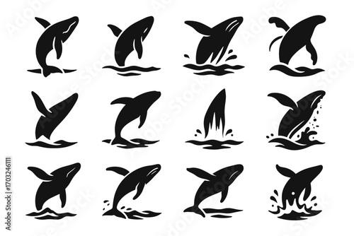 Breach vector whale crown above breaching icon jet over silhouette open curved