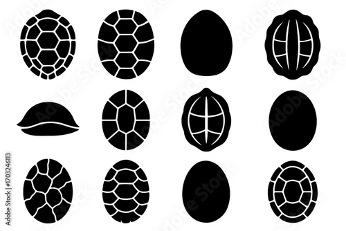 Pattern vector icons scute side outline turtle detailed central icon view shell