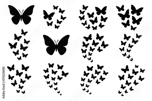 Flight insects collective mirrored vector group icon air icons contour wings graceful