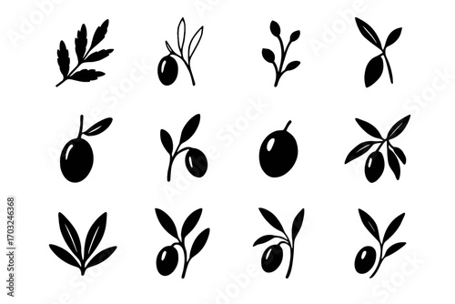 Pair vector sprig olive motif edge tips fine minimal detailed icon
