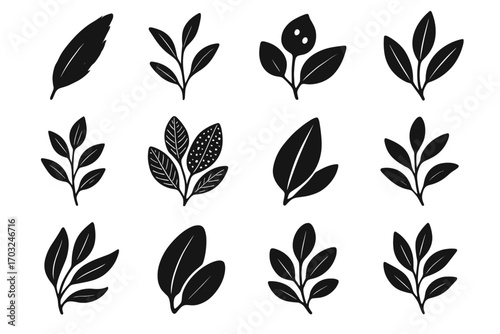 Stylized expressive inked icons vector smooth eucalyptus leaf icon outline mark swirl