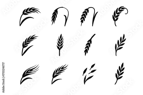 Grain uneven vector element segment sprig icon barley silhouette scattered wild