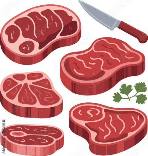 meat and vegetables vector