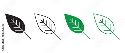 Leaf vector icon. isolated on white background for graphic and web design.