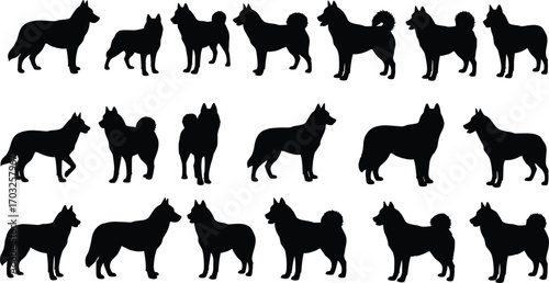 Silhouette collection of multiple dog breeds standing in different poses, vector illustration for pet design, animal artwork, and decoration