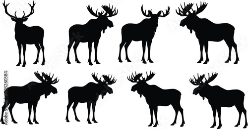 Moose and elk silhouettes collection, wild animal vector set with antlers, standing and walking poses, forest wildlife clipart illustration design