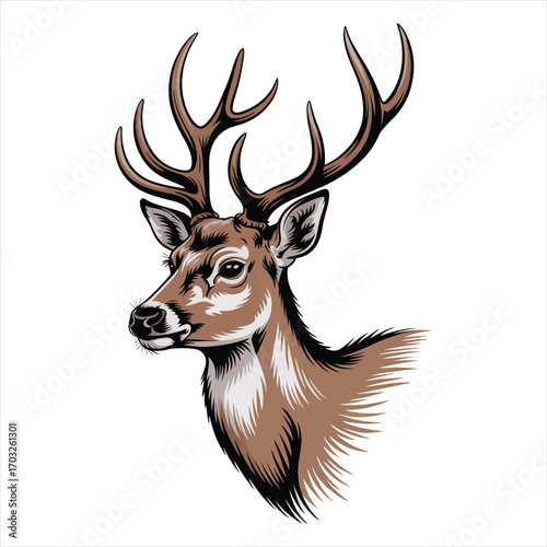 deer head isolated