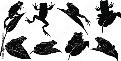 Frog silhouette set on leaves, black vector frogs jumping and sitting, amphibians, nature wildlife, green frogs, animal vector art, isolated
