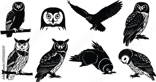 Owl silhouettes, various species, flying and perched, detailed feathers, bird of prey, wildlife, nature, animal illustration, black and white design