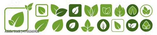 Collection of Green Leaf Icons Nature Eco and Organic Symbols