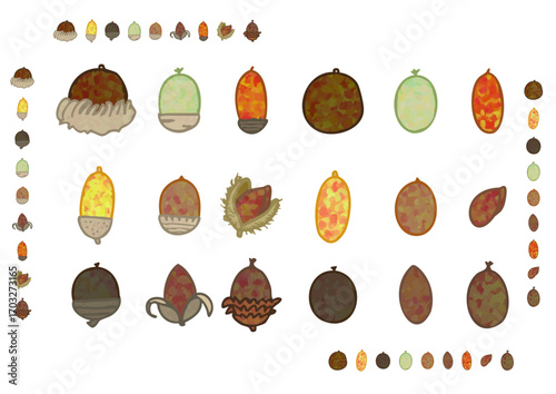 acorns and acorn's frame