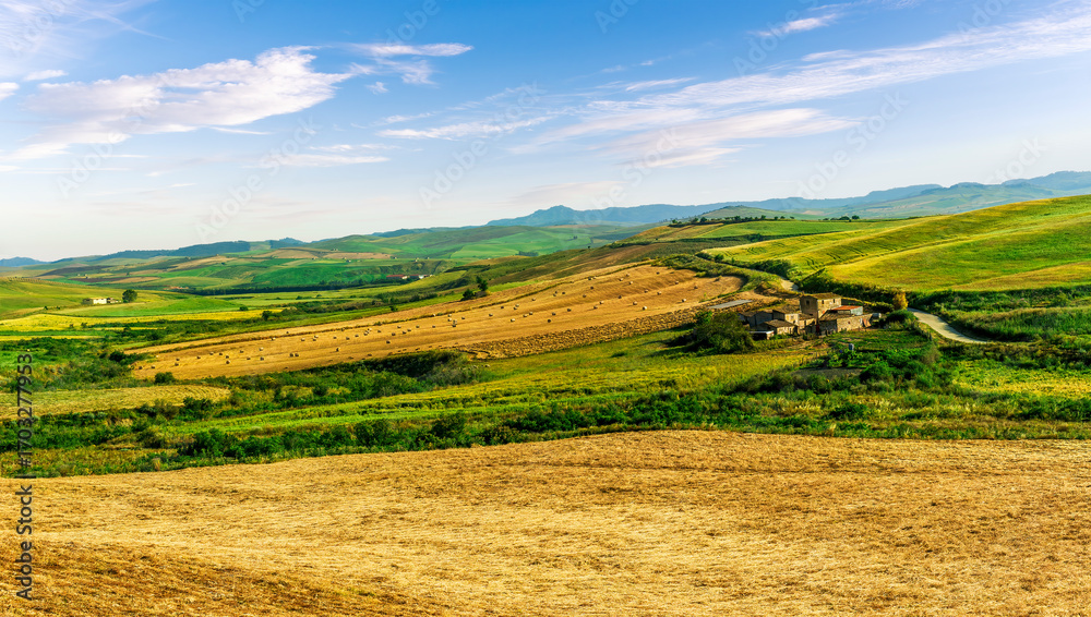 Obraz premium panoramic landscape of a summer season lowland with golden hay hills and green grass on foreground and beautiful sunset sky on background