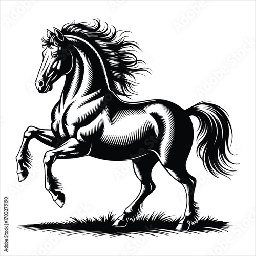 horse silhouette vector