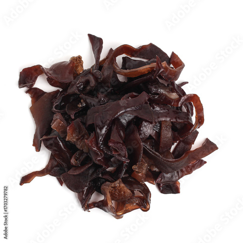 ear fungus. jamur kuping. isolated on white background.