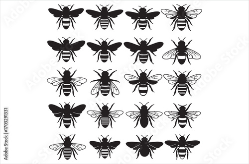 Bee set  Vector Art illustration. Bee Silhouette. Colorful bee icon. Black and white Bees. Cartoon bee icon set. flying on a dotted route isolated on the white