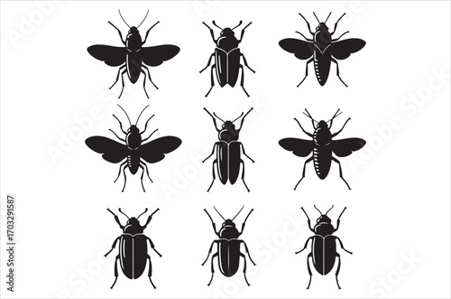 Bee set  Vector Art illustration. Bee Silhouette. Colorful bee icon. Black and white Bees. Cartoon bee icon set. flying on a dotted route isolated on the white
