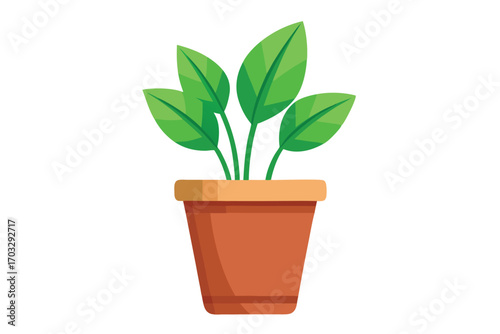 Green plant with leaves growing inside of an orange pot on white