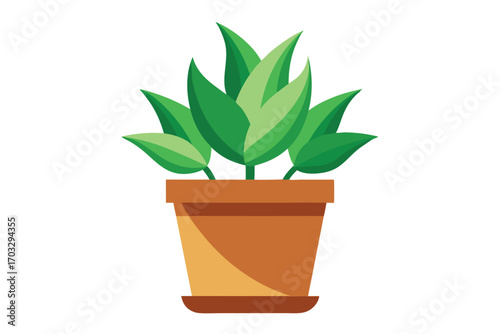 Green houseplant with leaves displayed inside a brown pot, shown against a white background