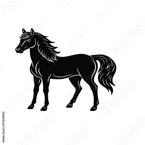 black horse vector illustration