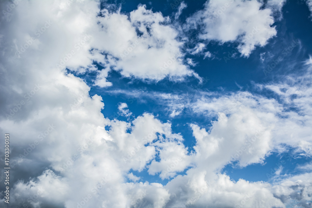 custom made wallpaper toronto digitalWhite fluffy clouds scattered across a deep blue sky creating a bright and airy weather background with natural light
