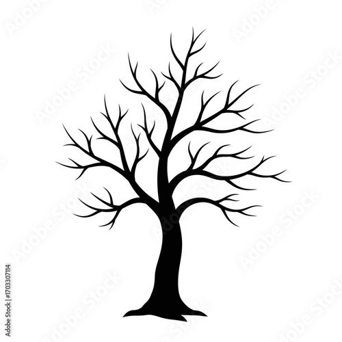 Bare Tree Silhouette Stark Beauty of a Leafless Tree Against a White Backdrop