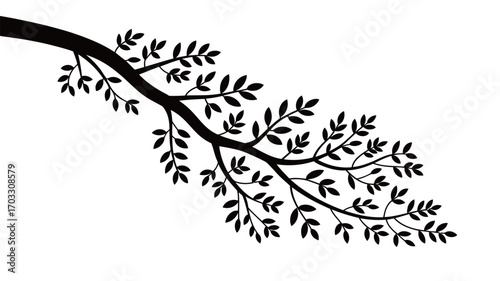 Delicate Silhouette of a Tree Branch with Numerous Small Leaves