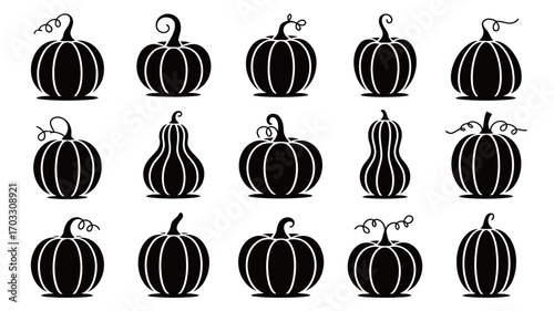 Collection of Black Silhouette Pumpkins and Gourds Festive Autumnal Decorations