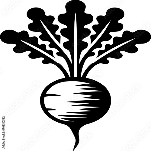 Radish illustration: A detailed illustration of a radish, highlighting its round form and textured leaves, offering a graphic portrayal of nature's bounty.