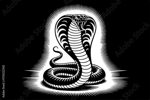 Cobra Snake Tattoo Vector Collection Grpahics bundle