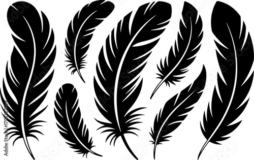 "Black Feather Silhouettes Collection" vector bundle