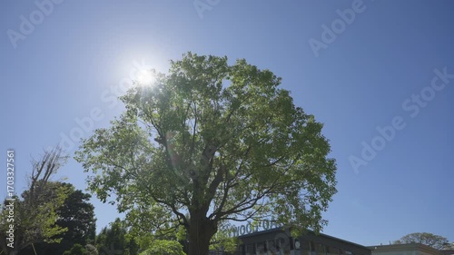 Wedding banquet hall, wedding restaurant layout, wedding layout