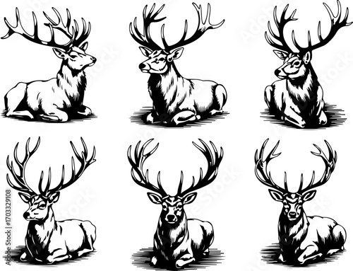 Deer Head Silhouette Vector Set"