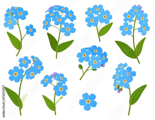 Delicate azure forget-me-nots with vibrant greenery, a botanical elegance