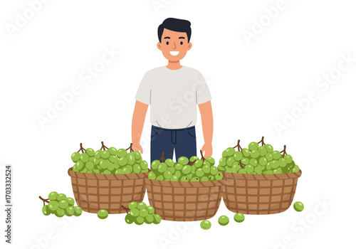 Man proudly stands with three baskets full of green grapes. Perfect for marketing fresh produce, wineries, and grape harvest concepts.