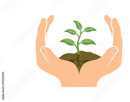Hands cradling a sprouting plant representing growth and environmental care.