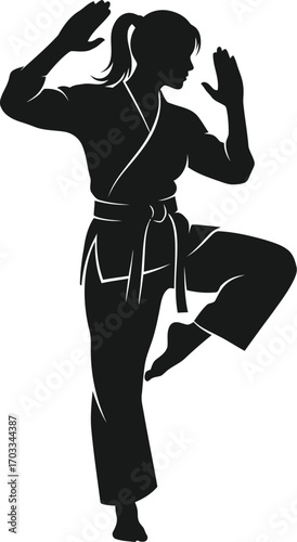 Silhouette of a woman in a karate stance, showcasing martial arts and selfdefense techniques in a dynamic pose