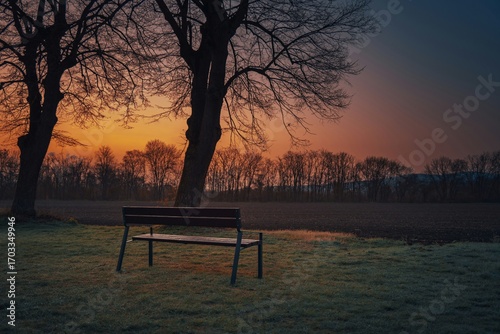 bench in a park at sunset
