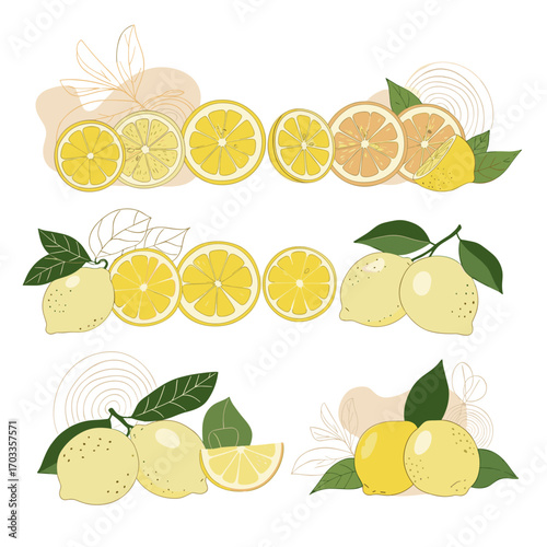 Fresh Lemons and Slices Border Design.