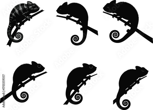 Chameleon silhouettes on branches, different poses, black and white, reptile animal illustrations, nature, wildlife, exotic pets, detailed, tropical, jungle, crawling, climbing, adaptation.