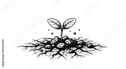 Resilient sprout emerging from arid ground, a symbol of hope and regeneration in stark contrast,