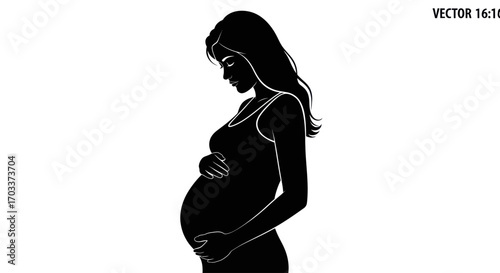 Silhouette of a expecting mother gently cradling her abdomen exudes a serene sense of anticipation