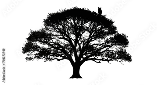 Silhouette of ancient oak tree with owl perched atop against a white backdrop showcasing intricate