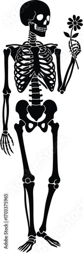 A black silhouette of a skeleton holding a single flower, isolated on a transparent background, symbolizing life and death, or perhaps a macabre romance
