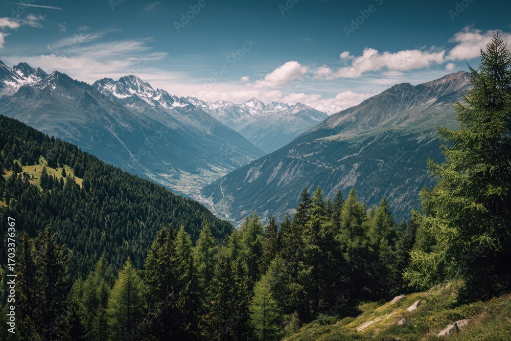 Fototapeta premium Swiss Alps mountain range with lush forest valleys and meadows, countryside in Switzerland landscape. Snowy mountain tops in the horizon, travel destination wallpaper background