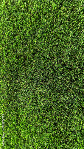 Fotografie Artificial Green Grass Wall, Close-Up View, Captured Indoors, Daytime, Ideal For