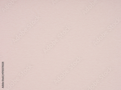 Wallpaper Mural Soft as a whisper, the pale pink paper texture embodies a quiet grace and the innocence of early spring Torontodigital.ca