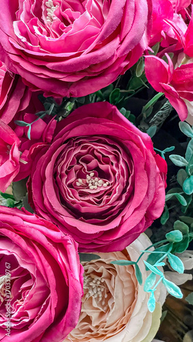 Obraz na plátně Closeup Of Artificial Pink And Cream Roses With Green Leaves, Soft Fabric Petals