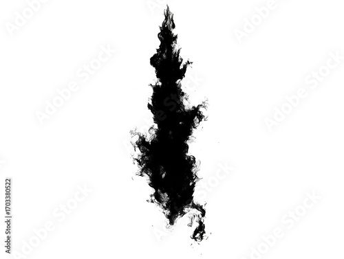 Abstract Black Ink Blot Texture