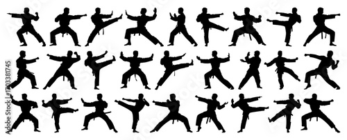 Martial Arts Silhouette Vector Big Collection, Man Practicing Karate, Kung Fu, Taekwondo, Fight Poses, Flat Black Minimal Design, Transparent Background
